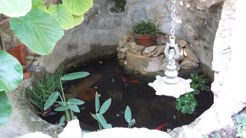 圣雷默La Casa Di Elda公寓 外观 照片